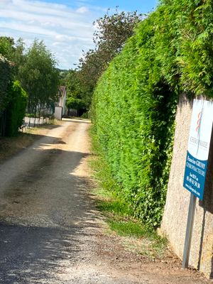 patientèle